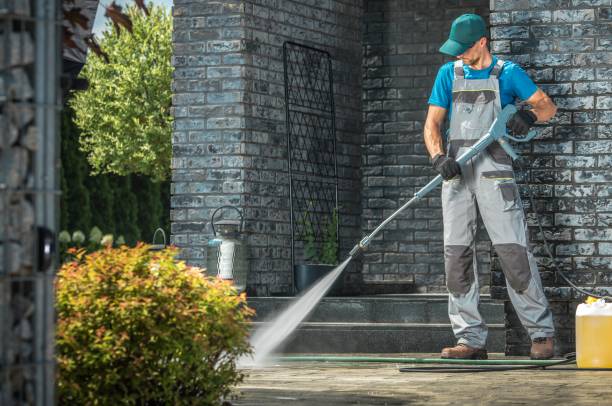Best Driveway Pressure Washing  in Manvel, TX